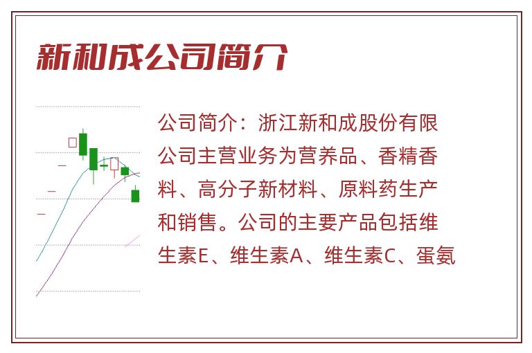 新和成公司简介