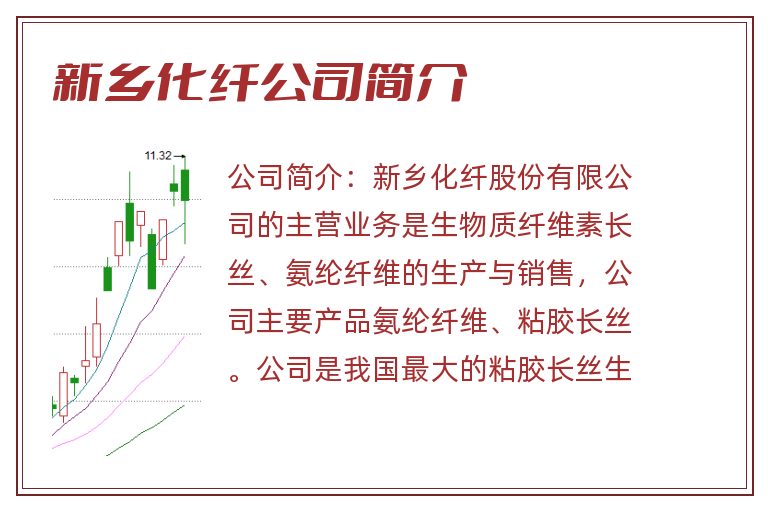 新乡化纤公司简介