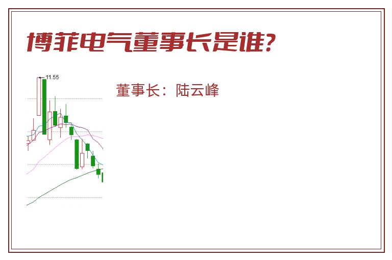 博菲电气董事长是谁？