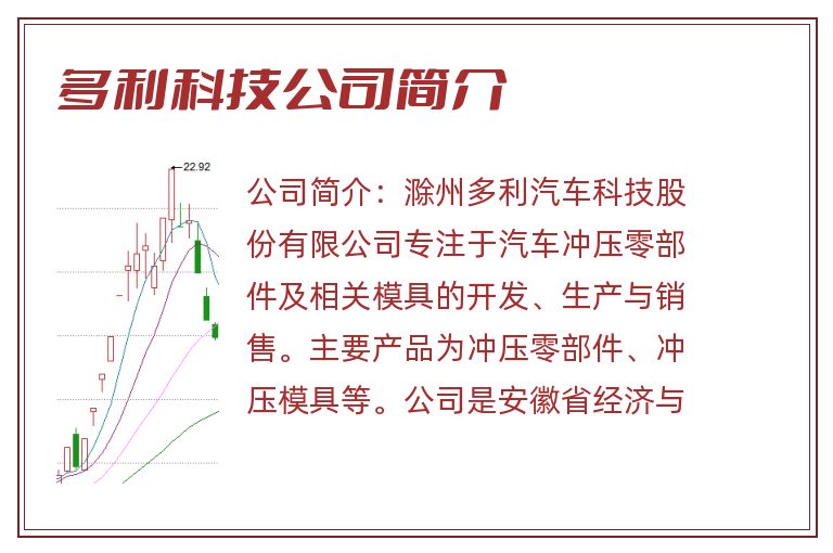 多利科技公司简介