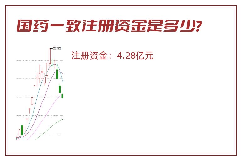 国药一致注册资金是多少？