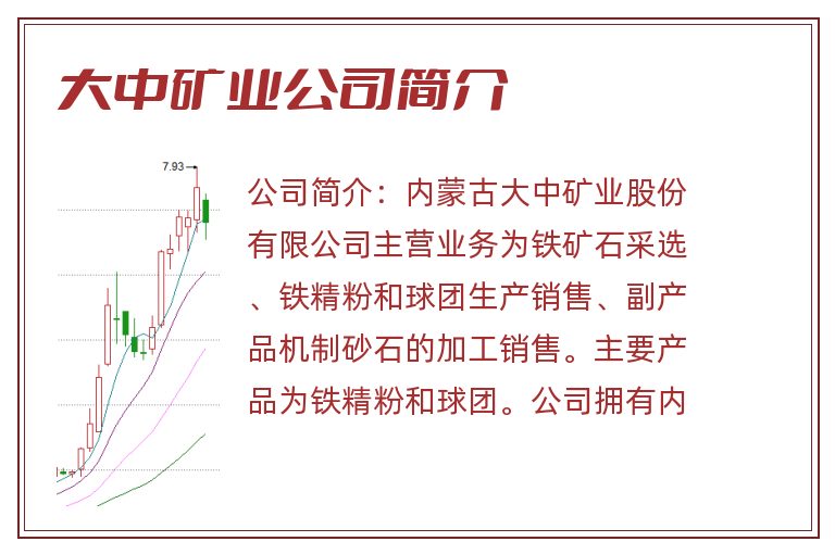 大中矿业公司简介